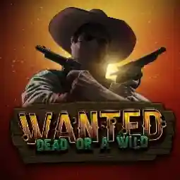 Wanted Dead or a Wild jeu disponible dans l’univers Celsius Casino en France